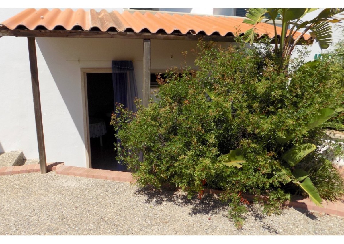 Monolocale con giardino a due passi dal mare