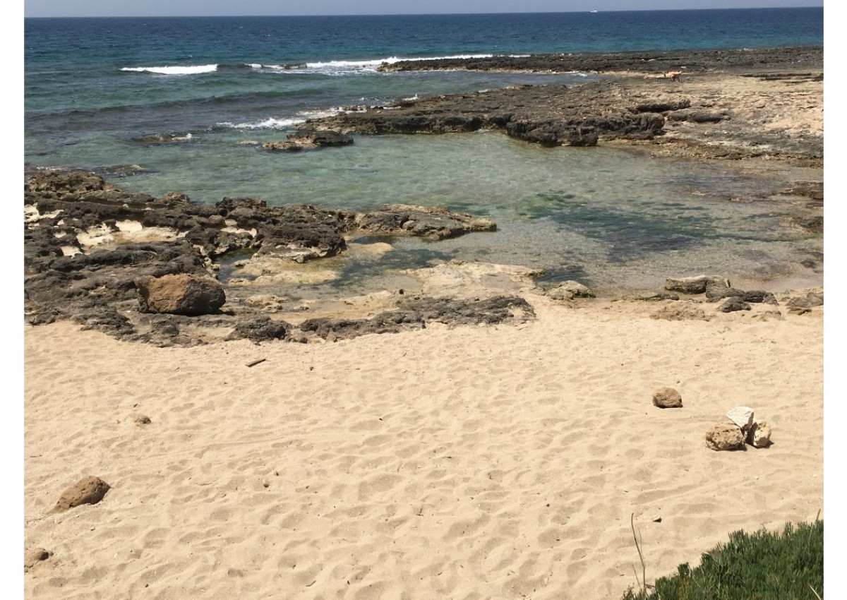 Monolocale con giardino a due passi dal mare