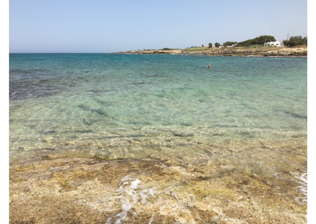 Monolocale con giardino a due passi dal mare