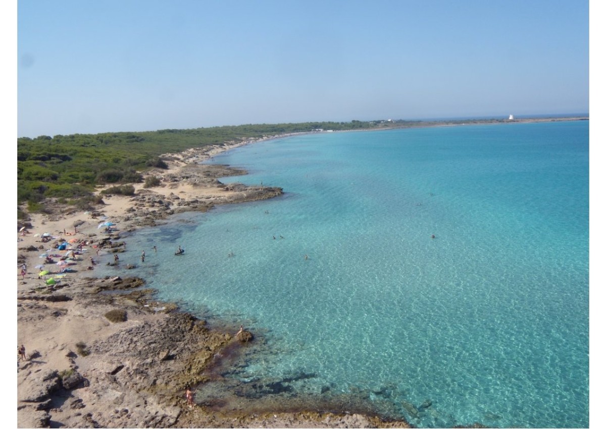Monolocale con giardino a due passi dal mare