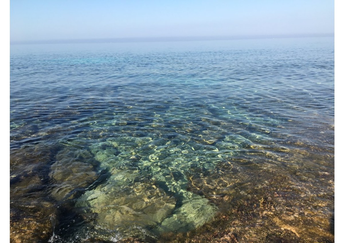 Monolocale con giardino a due passi dal mare