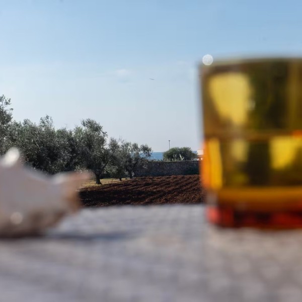 Villa Nicoletta vista mare — foto 5