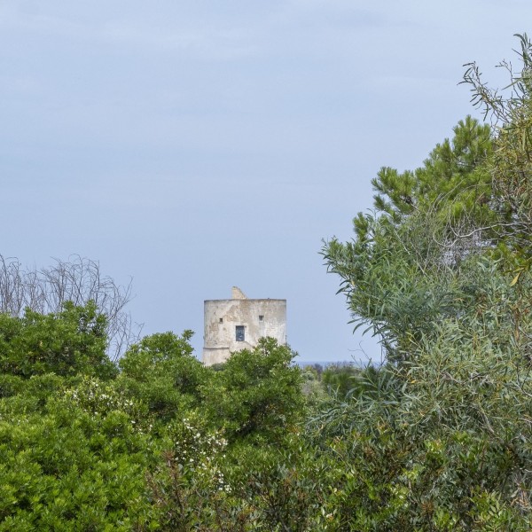 Masseria Pizzo Mono 12 — foto 11