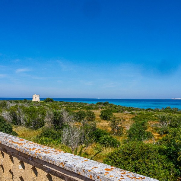 Masseria Pizzo App 14 — foto 11