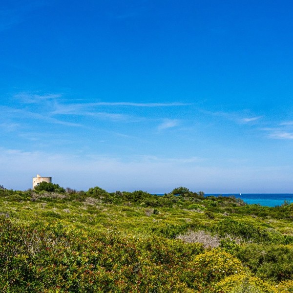 Masseria Pizzo App 14 — foto 25