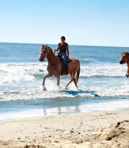 Salento Equi Club