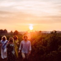 Tour enogastronomico in Vigna