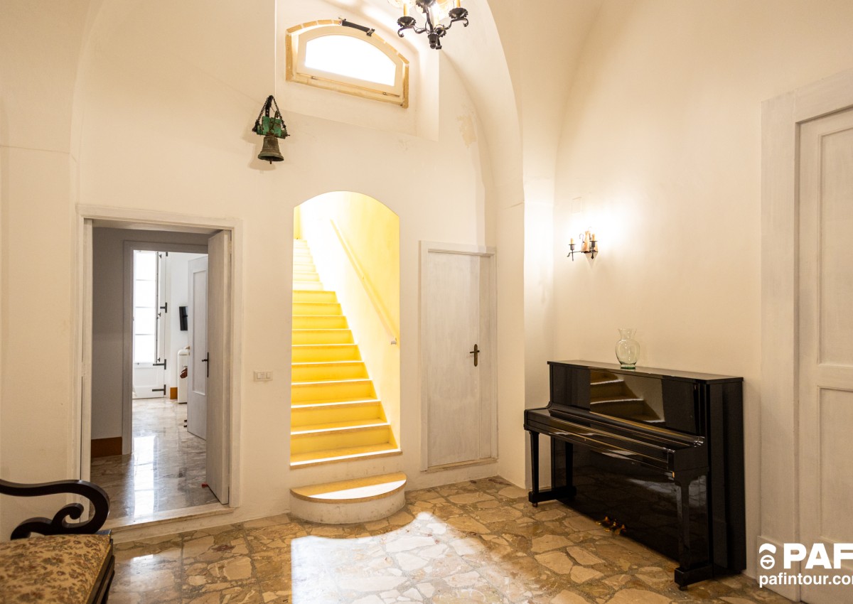 Palazzo Celina Standard