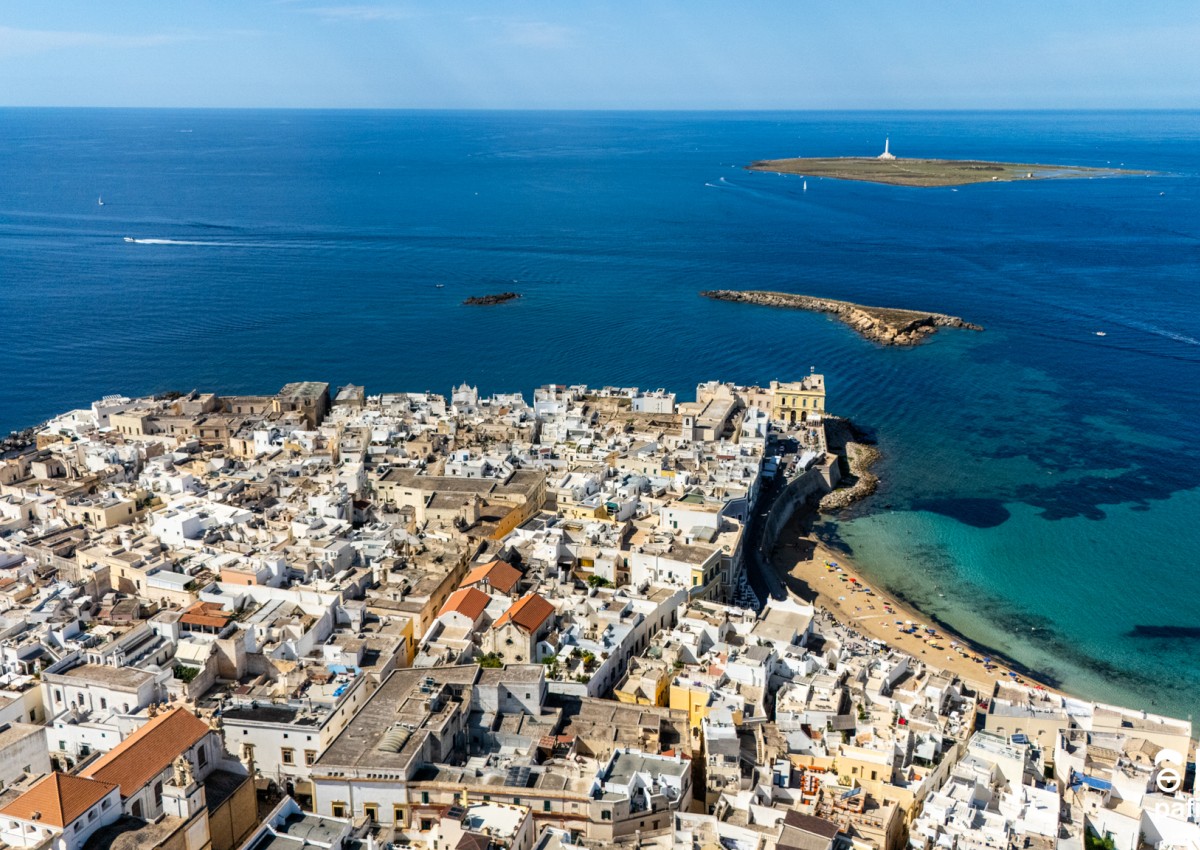 Palazzo Celina Standard