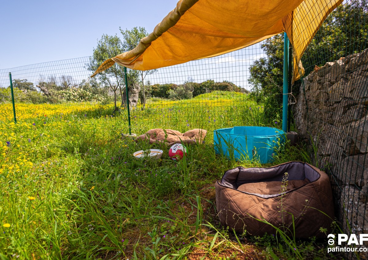 La casetta di campagna