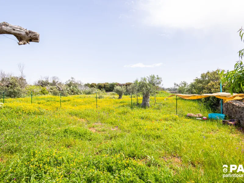 La casetta di campagna - foto 26