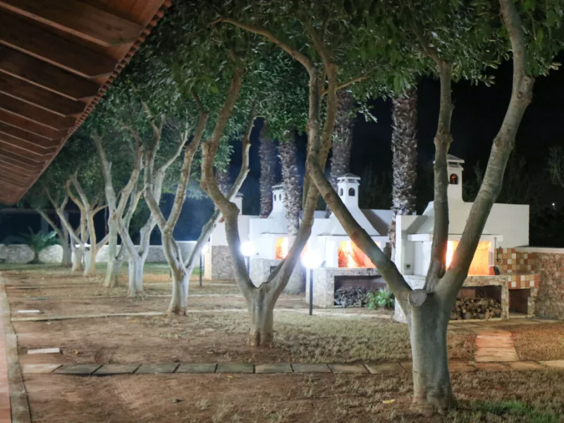 Tenuta Bene - bilo 1250 - foto 7