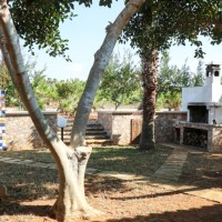 Tenuta Bene - bilo 1246