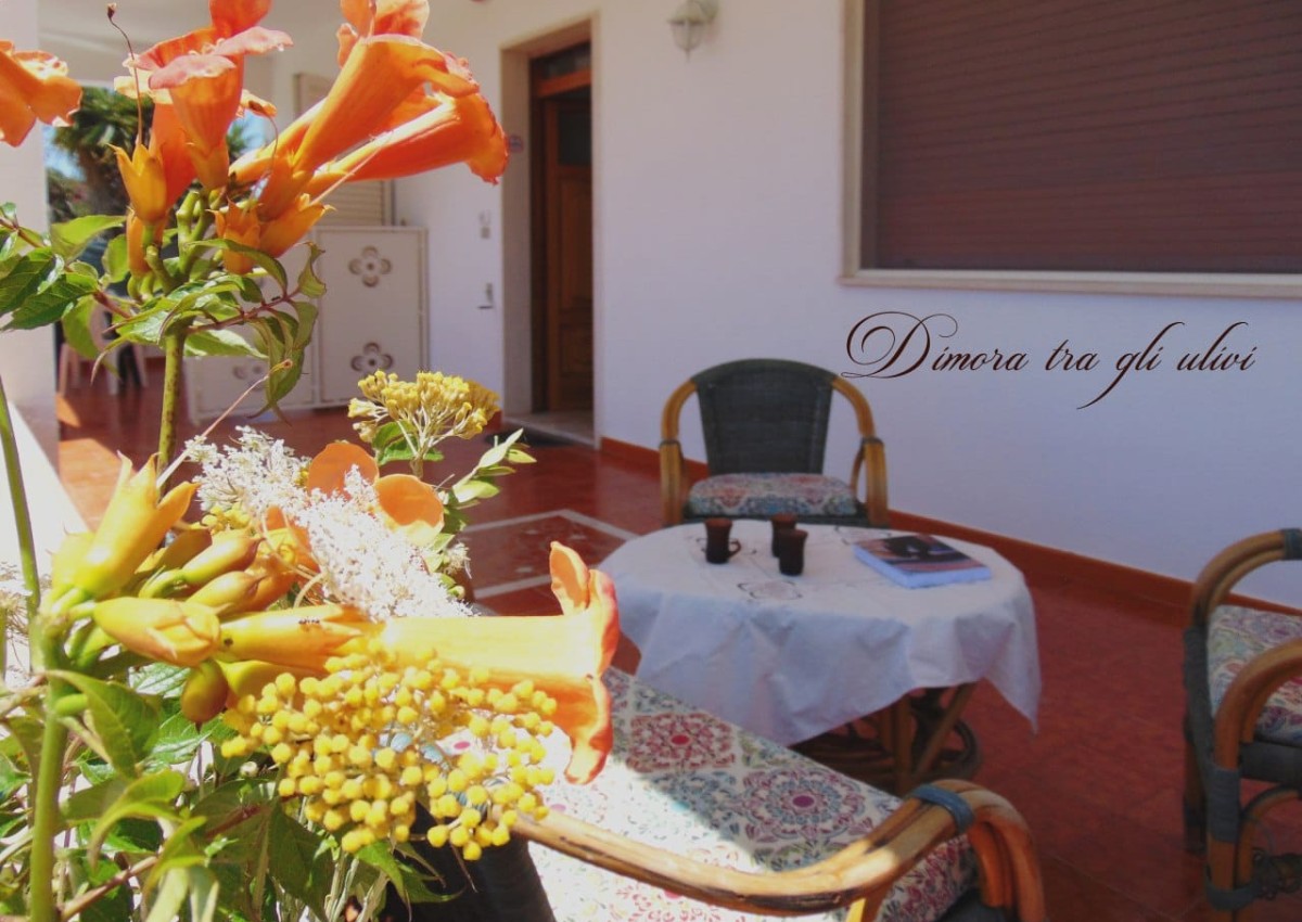 La Dimora tra gli Ulivi 02