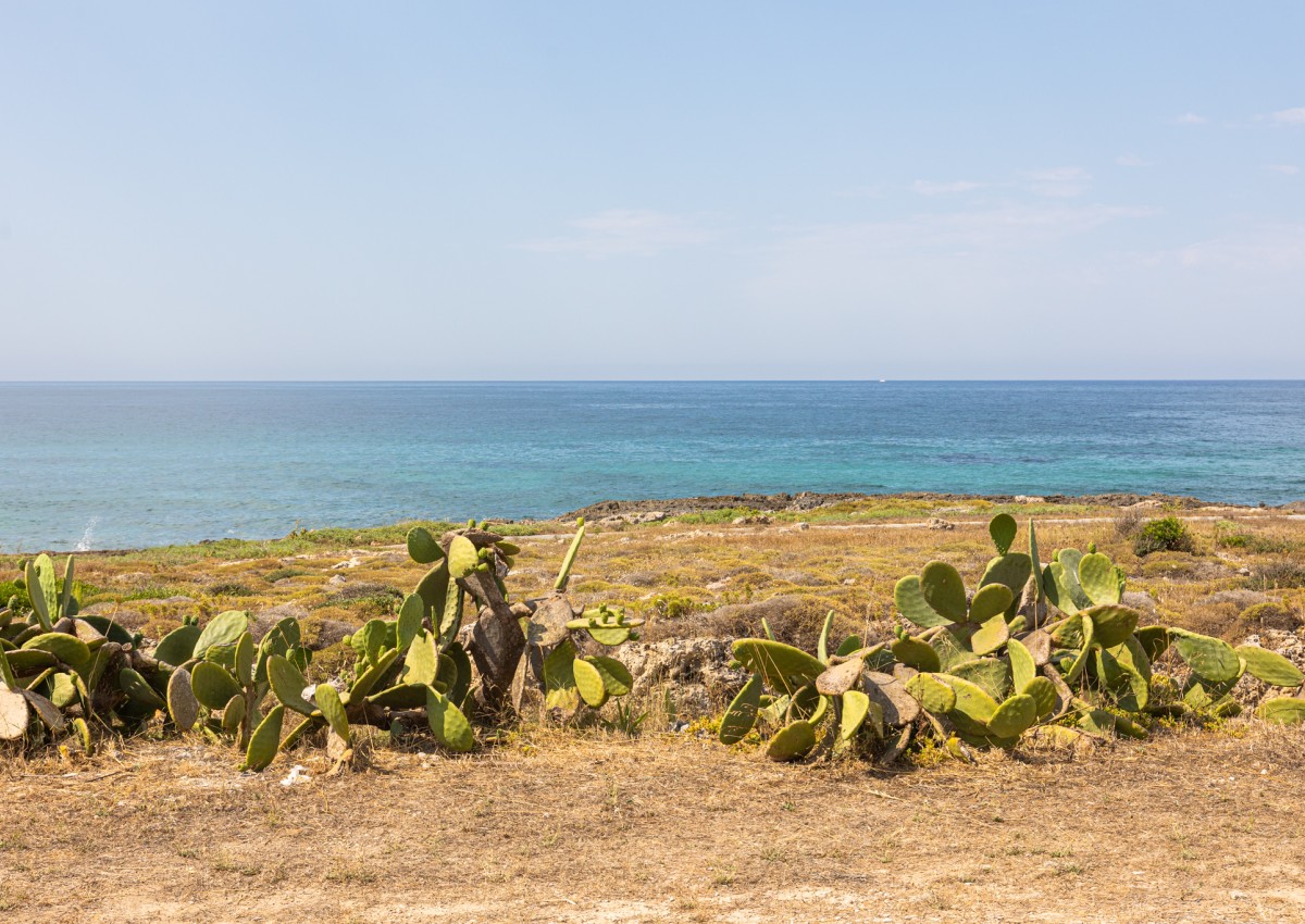red home fronte mare