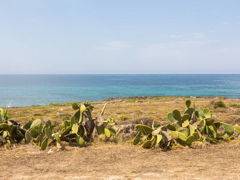 Red Home Fronte Mare - foto 15