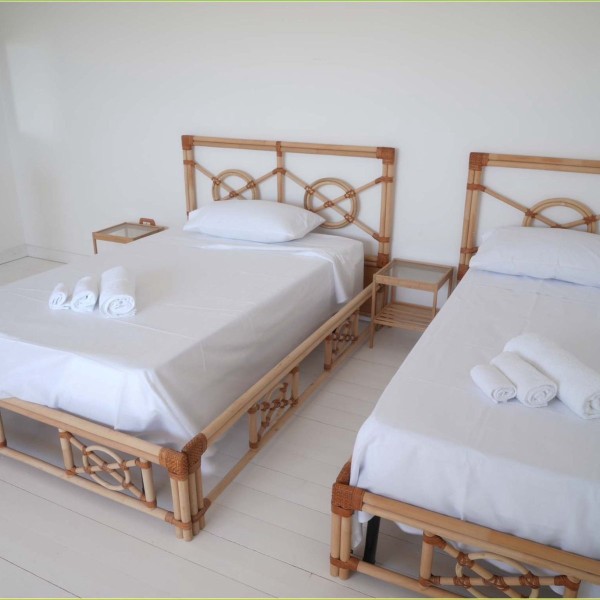 La tenuta degli asinelli — foto 6