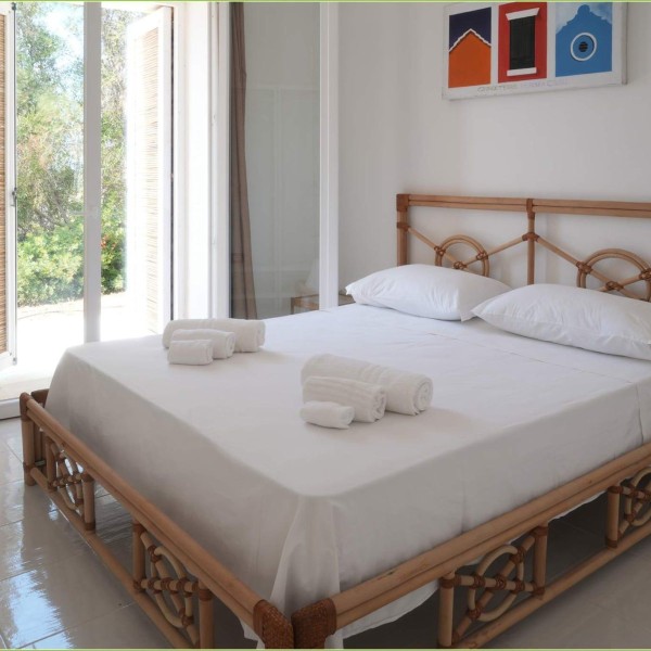 La tenuta degli asinelli — foto 11