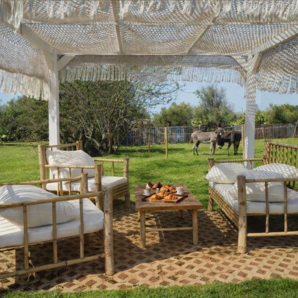La tenuta degli asinelli — foto 8