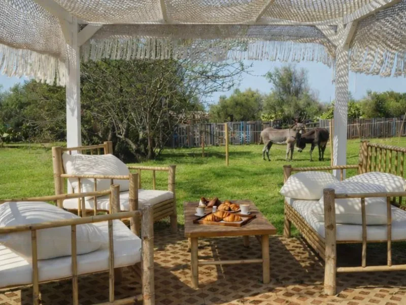 La tenuta degli asinelli - foto 8