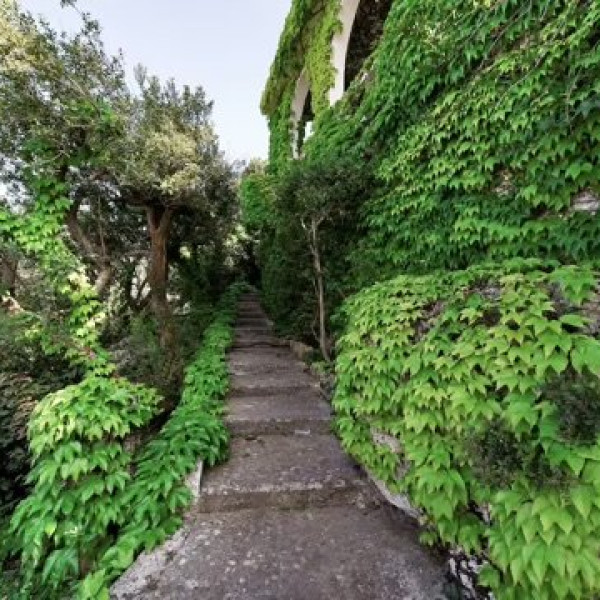 Villa Morena - foto 6