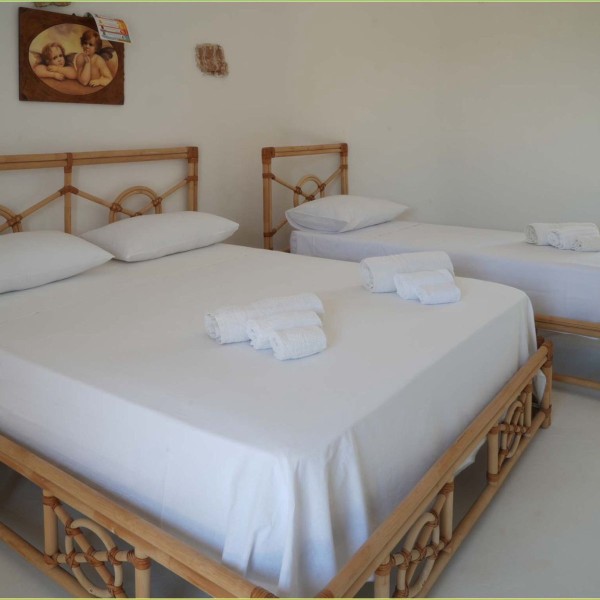 La tenuta degli asinelli — foto 21