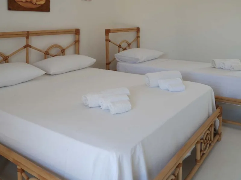 La tenuta degli asinelli - foto 21