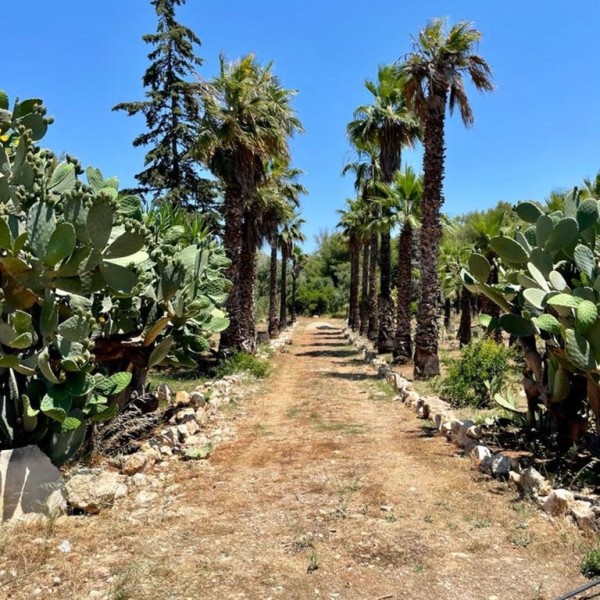 Casale Capurre - La Pajara — foto 19