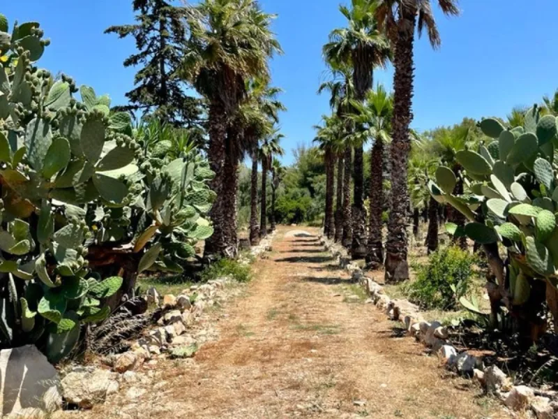 Casale Capurre - La Pajara - foto 19