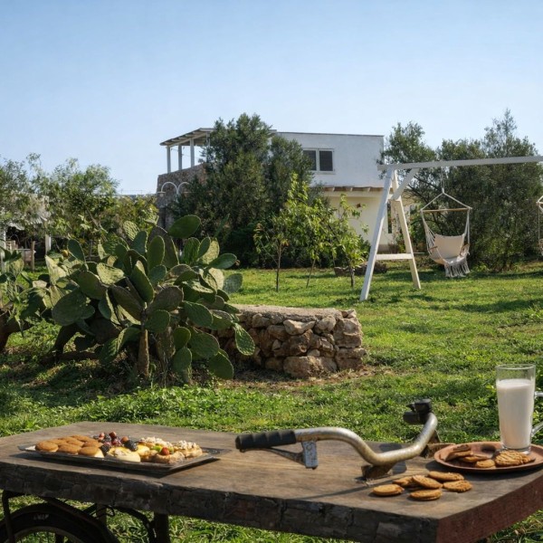 La tenuta degli asinelli — foto 14