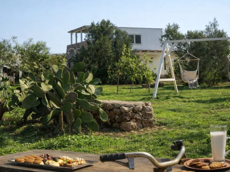 La tenuta degli asinelli - foto 14