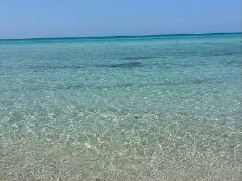 Una Finestra sul Mare - foto 25