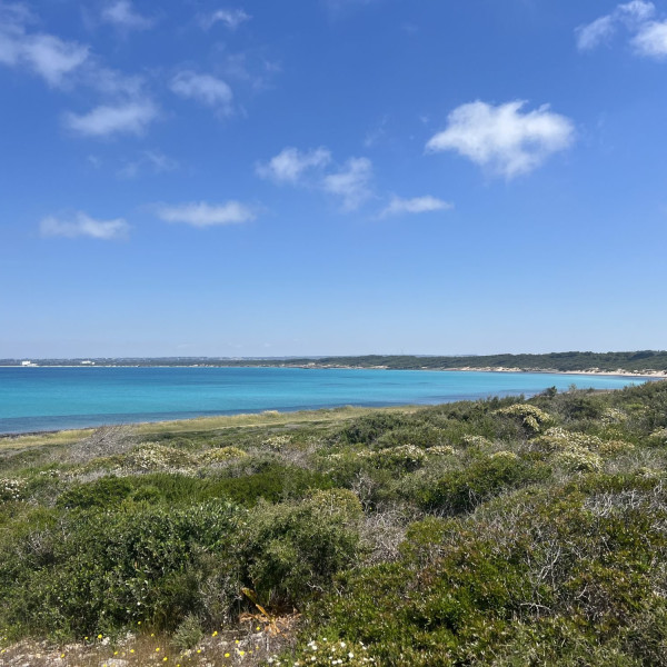 Masseria Pizzo Mono 15 — foto 30