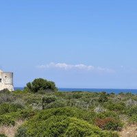 Masseria Pizzo Mono 15