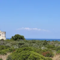 Masseria Pizzo Mono 15