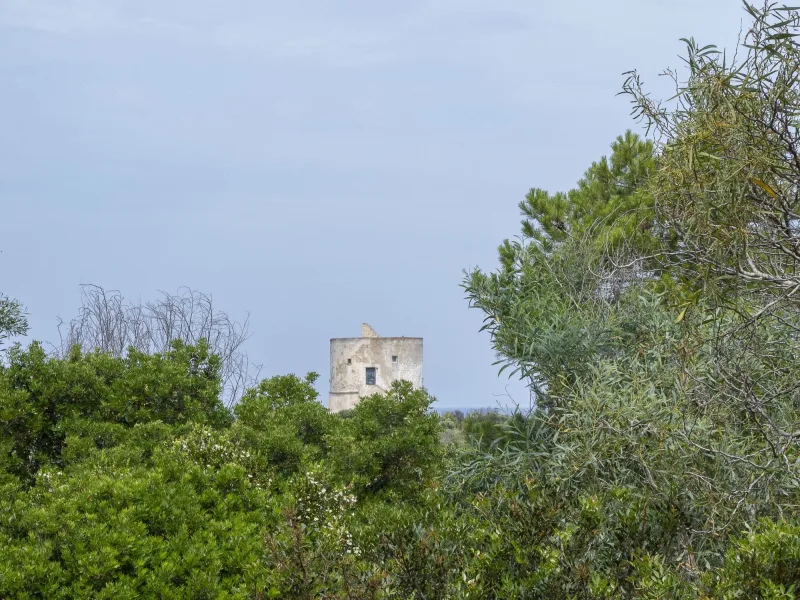 Masseria Pizzo Mono 12 - foto 11