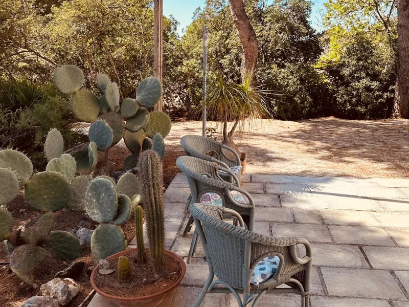 Casale Capurre - La Terrazza - foto 17