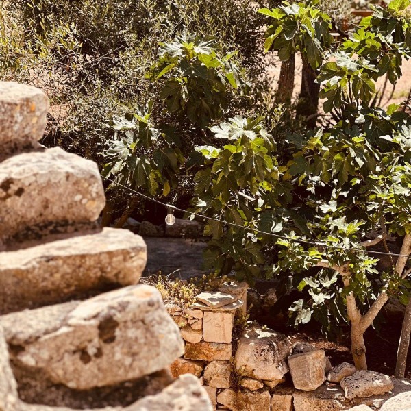 Casale Capurre - La Terrazza — foto 25