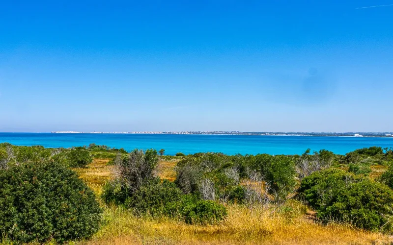 Masseria Pizzo - foto 11