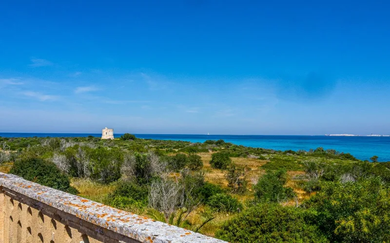 Masseria Pizzo - foto 5
