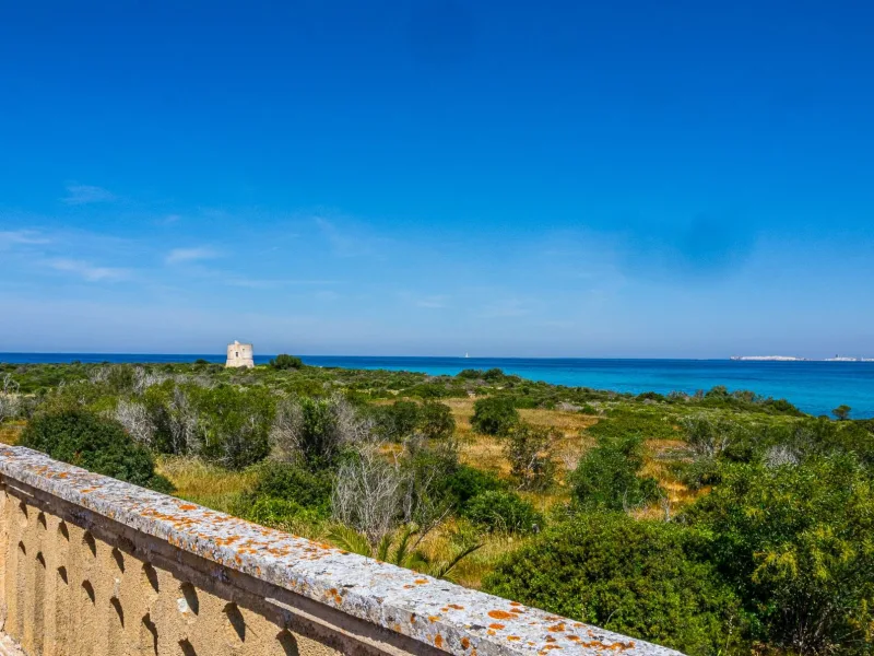 Masseria Pizzo App 14 - foto 11