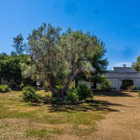Masseria Pizzo App 14