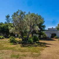 Masseria Pizzo App 14