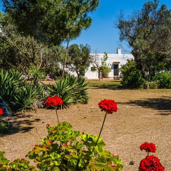 Masseria Pizzo App 13 — foto 6