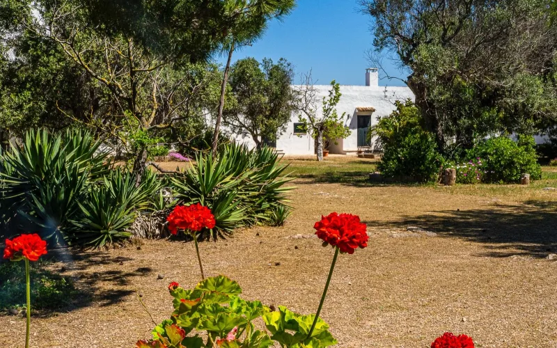 Masseria Pizzo - foto 3
