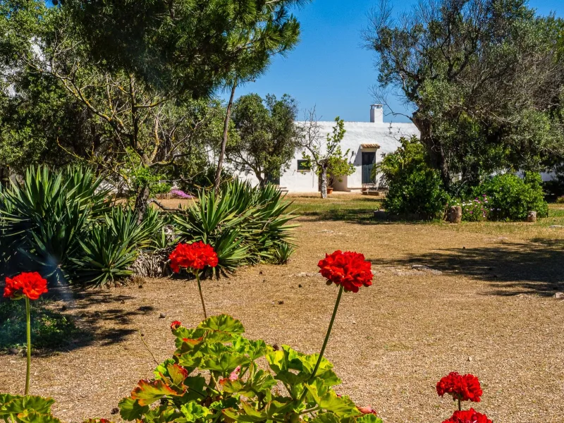 Masseria Pizzo App 13 - foto 6