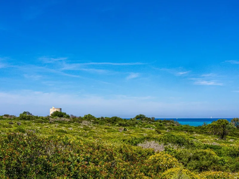 Masseria Pizzo Mono 15 - foto 3